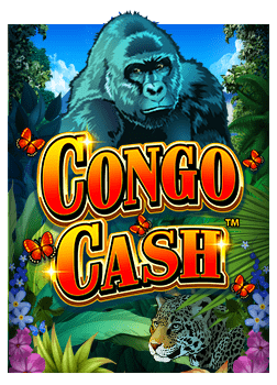 วิธีเล่นเบื้องต้นสำหรับคาสิโนบาคาร่าออนไลน์